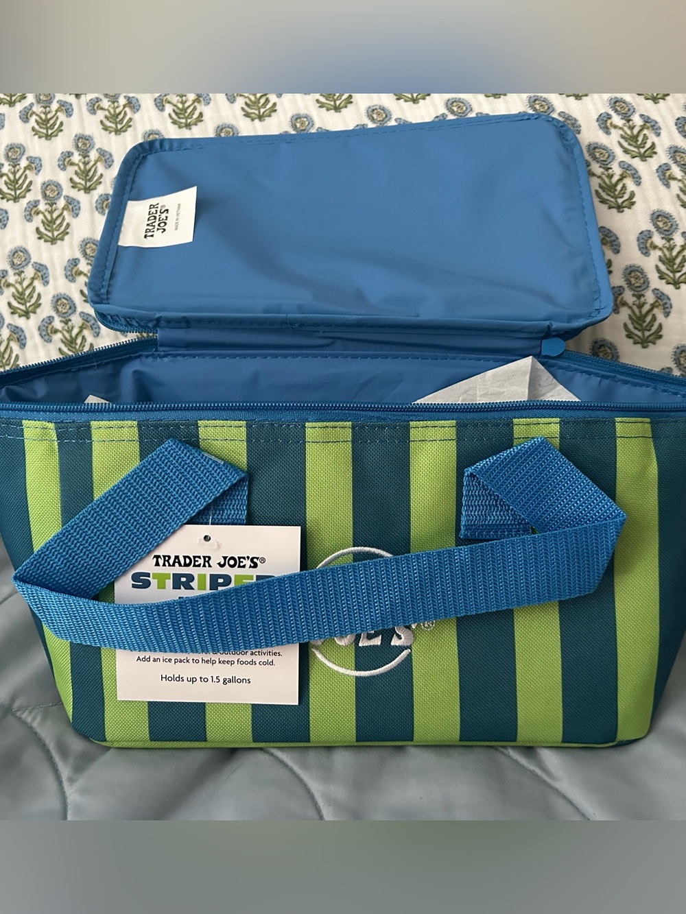 Trader Joe’s Blue and Green Striped Cooler Bag